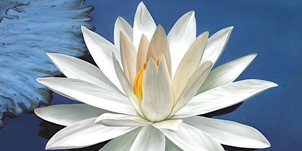 Kundalini & the Chakras: The Engines of Transformation