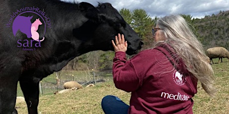 Meditate with Animals Virtual Fundraiser tickets