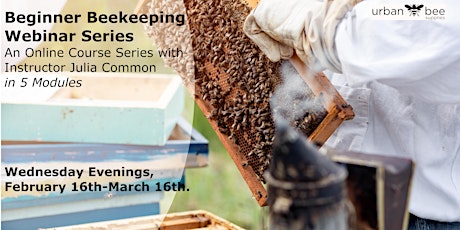 Online Beginner Beekeeping Series with Instructor Julia Common