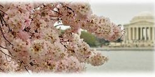 2016 Cherry Blossoms to Laurels Sendoff Tea
