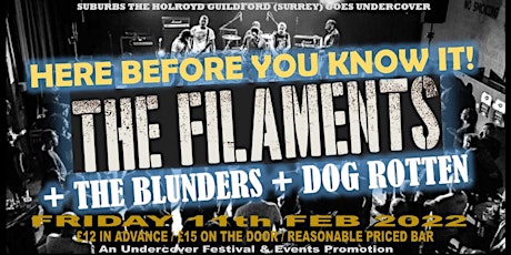 Undercover Punk + Skank down with THE FILAMENTS  +THE BLUNDERS + DOG ROTTEN