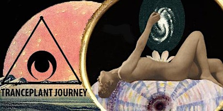TrancePlant Journey :<+>: Activate SACRAL CHAKRA primary image