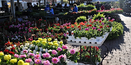 Flower City Days at the Public Market tickets