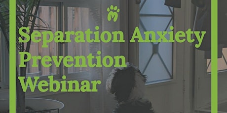 Separation Anxiety Prevention Webinar tickets