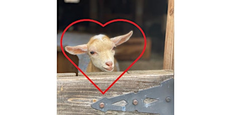 Share Your Love With Farm Animal Friends on Valentine's Day tickets