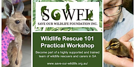 Wildlife Rescue 101 Online & Practical Workshop tickets