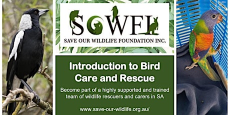 Introduction to Bird Care tickets