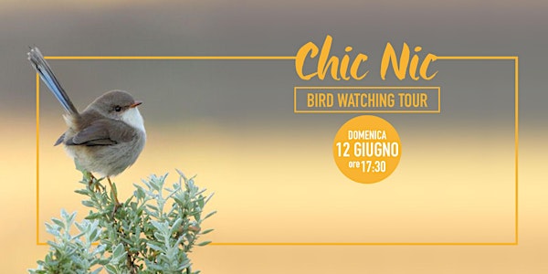 Bird Watching Tour // CHIC NIC - Domenica 12 Giugno 2016