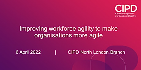 Improving Workforce Agility to make Organisations more Agile