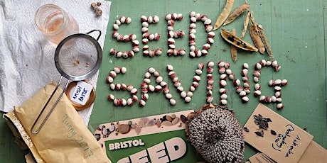 Seed saving, how and why to do it - by Diane Holness