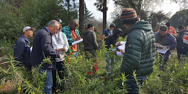 Bay-Friendly Qualified Training-Sustainable Landscape Maintenance-Spanish