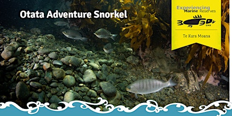 Otata Adventure Snorkel tickets