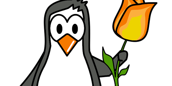 Suricata meets Netfilter: Free 1 day User Conference