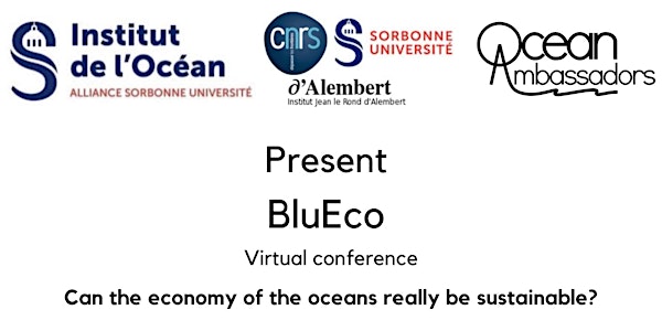 BluEco ~ Can the economy of the oceans really be sustainable?