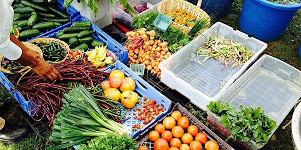 Volunteer on the Youth Farm with NYCHC Teens!