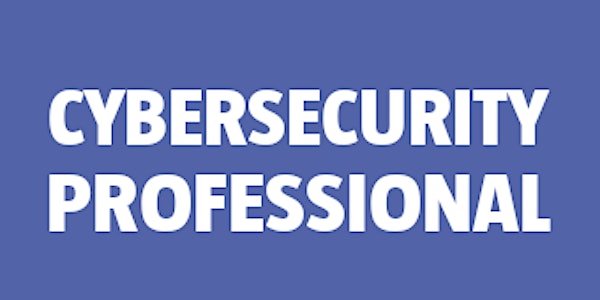 Cybersecurity Professional