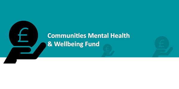 Minority Ethnic Communities and the Communities Mental Health Fund