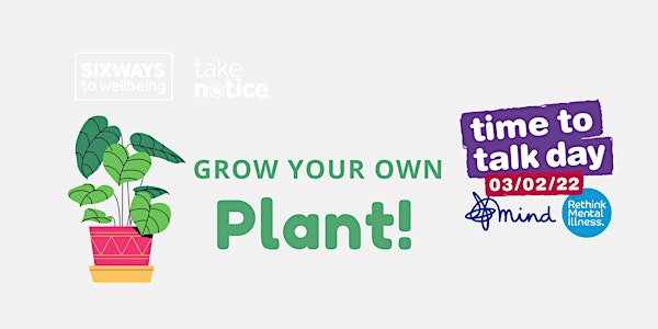 Student wellbeing event - grow your own plant!