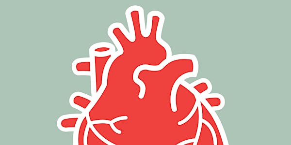 Dissect & Draw: Cow Heart & Lungs