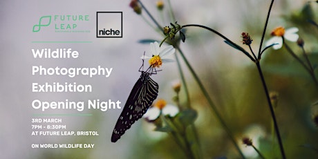 Future Leap's Wildlife Photography Exhibition - Opening Night billets