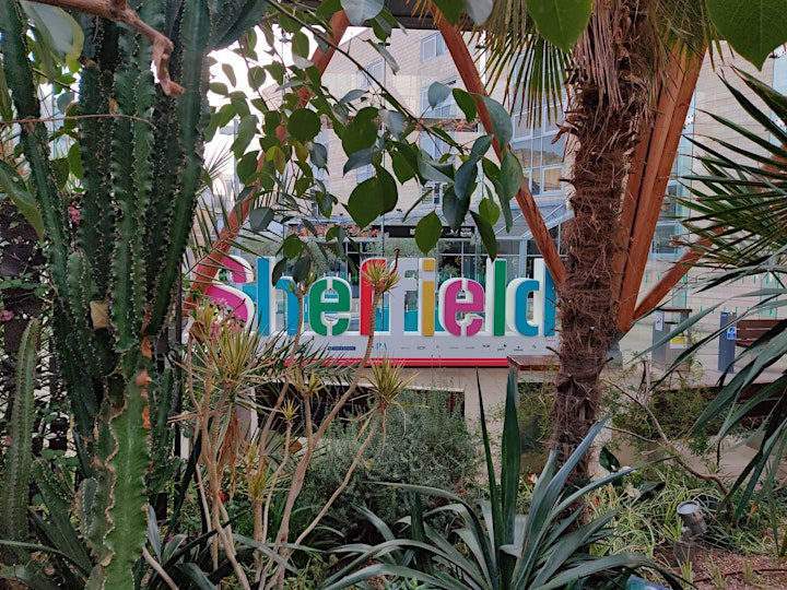 ShAFF 2022 Preview - Winter Gardens - Sheffield image