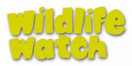 Wildlife Watch - Teddy Bear Adventure (2yrs+) tickets