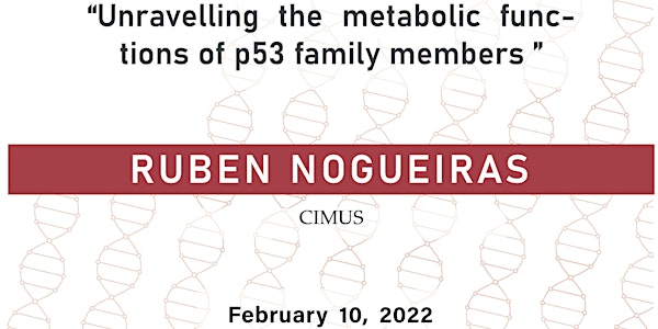 Unravelling the metabolic functions of p53 family members