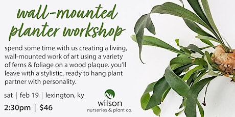 Wall Mounted Planter Workshop | Feb 19  |  Lexington, Ky tickets