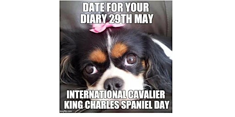 International Cavalier King Charles Spaniel Meet Up tickets