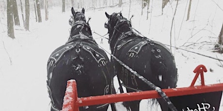 Family Day Weekend Horse Drawn Wagon Ride Experience tickets
