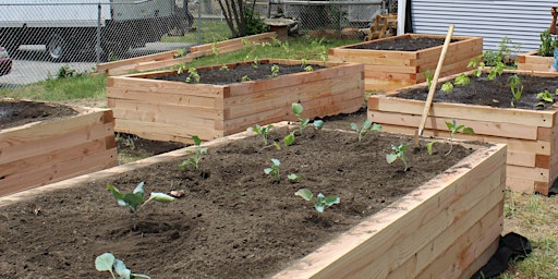 Raised Bed Building primary image