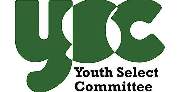 Youth Select Committee 2017 Oral Evidence Session 2