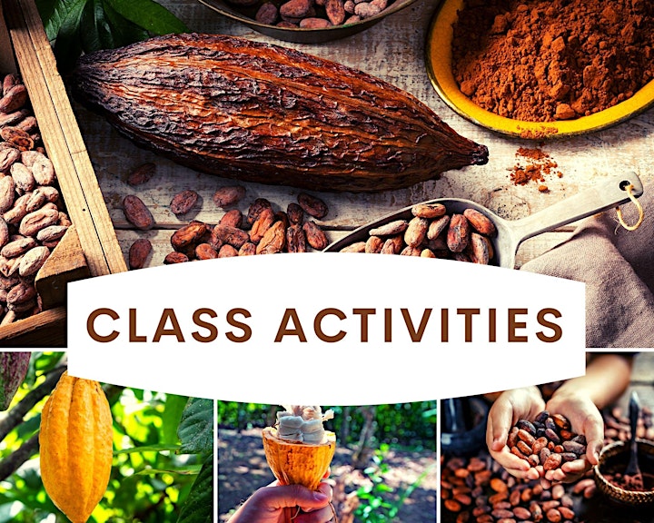 Where's the chocolate? COCOA FARMING & POST HARVEST PROCESSING image