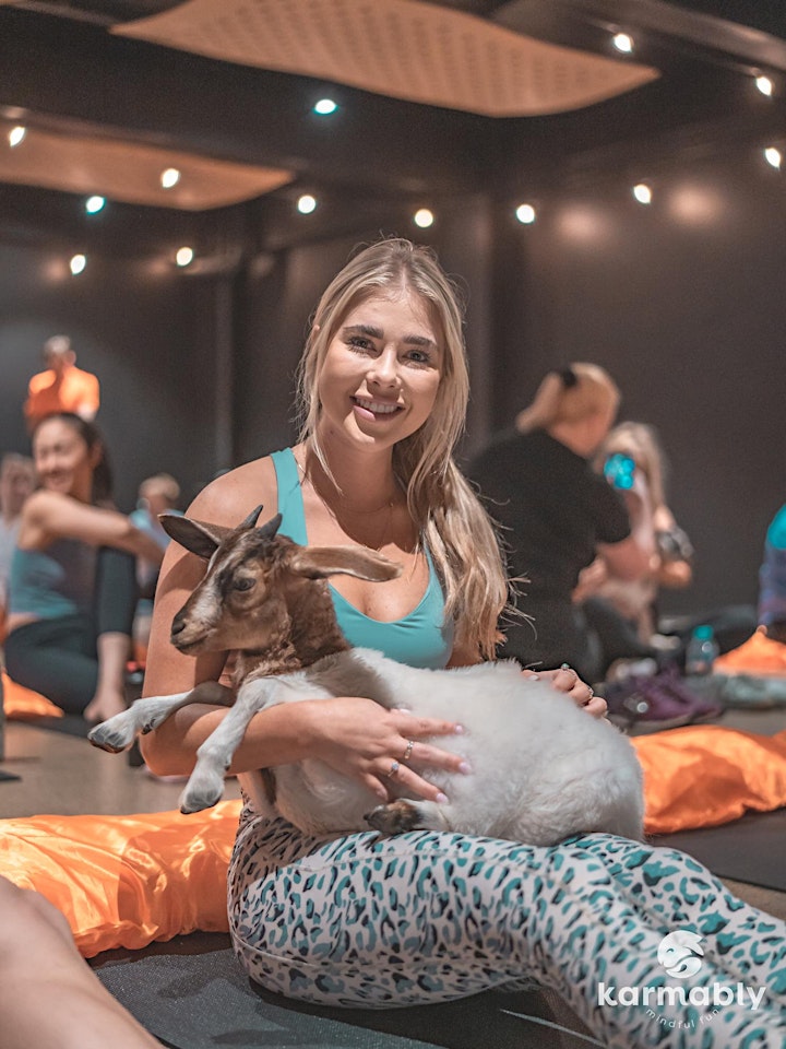 SOLD OUT - GOAT YOGA image