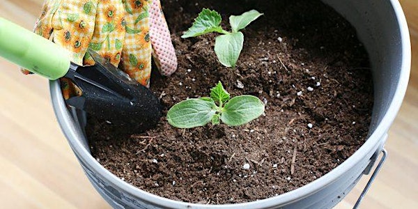Free Container Gardening Class- Nadaka