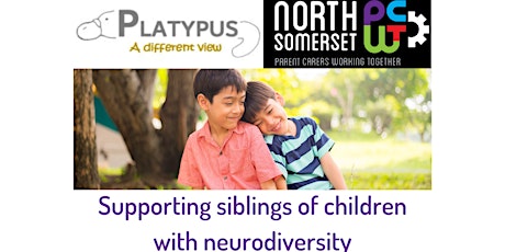 Supporting siblings of children with neurodiversity tickets