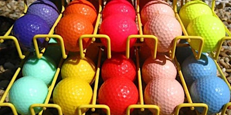 Geelong Gay Games - Mini-Golf & BBQ primary image