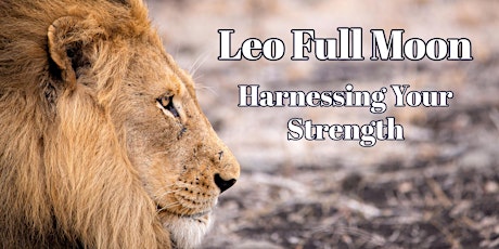 Full Moon Meditation | Harnessing Your Strength tickets