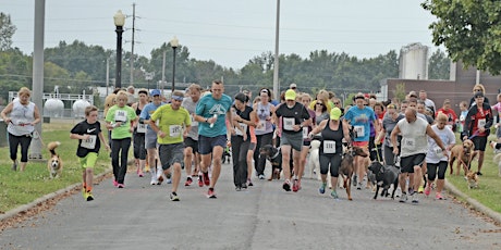 2nd Annual Doggie Dash 5K & 1 Mile Fun Run primary image