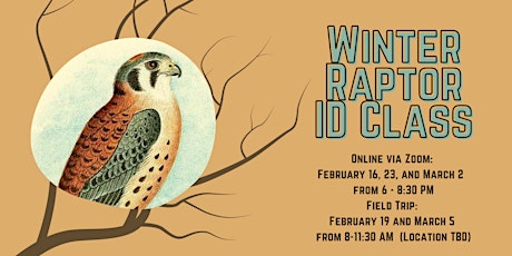 Winter Raptor Identification Course 2022