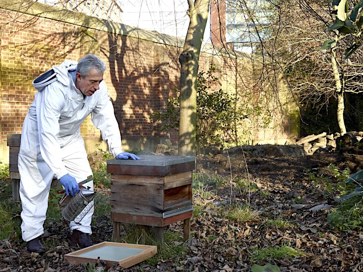 The twelve hives in the 800-year-old gardens of Lambeth Palace contains an astonishing 83 different pollens according to the National Honey Survey
