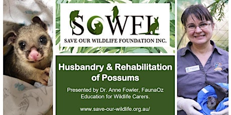 Husbandry & Rehabilitation of Possums  presented By Dr Anne Fowler tickets