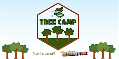 Tree Camp