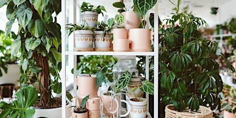 Don’t Kill Them With Kindness: Watering Indoor Plants LIVESTREAM Tickets