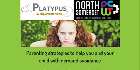 Parenting strategies to help you and your child with demand avoidance tickets