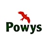 Logo de Powys County Council - Additional Learning Needs