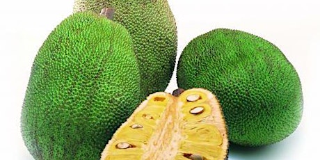 MEE THE JACKFRUIT, GET RICH WITH SUPERFOODS! SERIES 1 primary image
