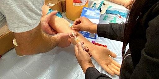 Primaire afbeelding van Phlebotomy (Venepuncture) Live Blood Draws -  Competency (1 Day)