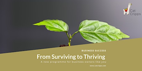From Surviving to Thriving - Your Sales Process Feb 22 tickets