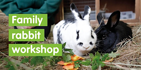 Family Rabbit Workshop - Live Zoom Event tickets